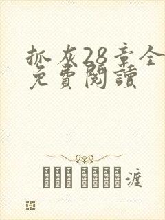 抓灰28章全部免费阅读