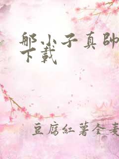 那小子真帅小说下载