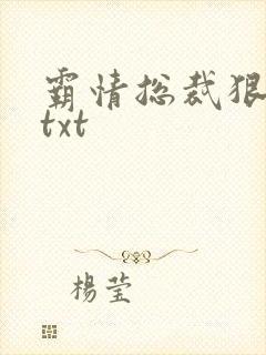 霸情总裁狠狠爱txt