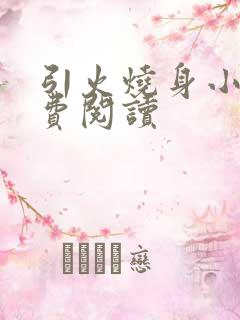 引火烧身小说免费阅读