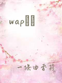 wapС˵