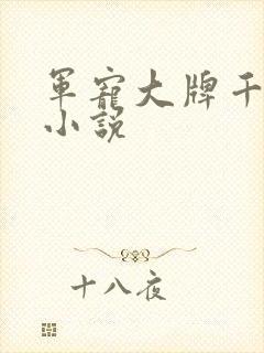 军宠大牌千金 小说