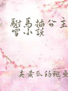 驸马插公主恋战雪小说