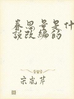 眷思量是什么小说改编的