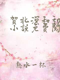 贺北溟和初夏的小说免费阅读无弹窗