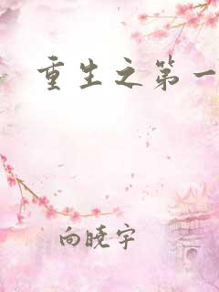 重生之第一名媛