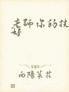 老师你的技术真好