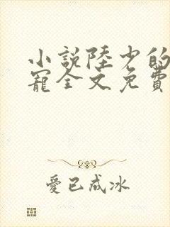 小说陆少的心尖宠全文免费阅读