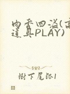 肉香四溢(高H道具PLAY)