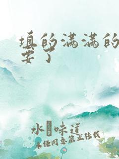 填的满满的 不要了