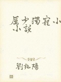 厉少独宠小娇妻 小说