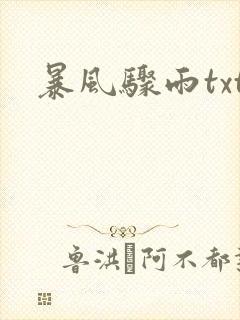 暴风骤雨txt