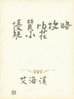 优质rb攻略系统小花