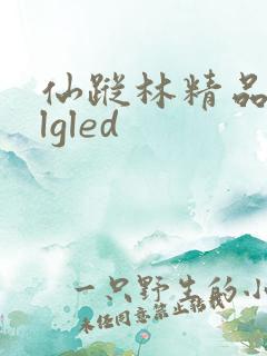 仙踪林精品zzlgled