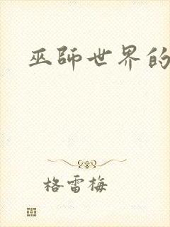 巫师世界的法师