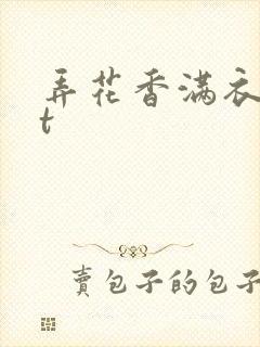 弄花香满衣txt