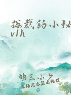 总裁的小秘书1v1h