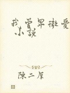 我曾卑微爱过你 小说