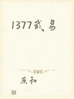 1377武易
