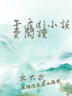 午夜dj小说免费阅读