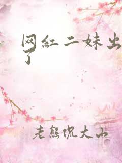 网红二妹出啥事了