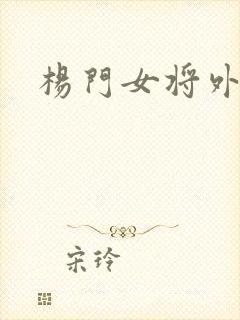 杨门女将外传