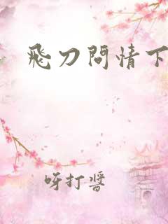 飞刀问情下载