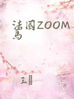法国ZOOM人马