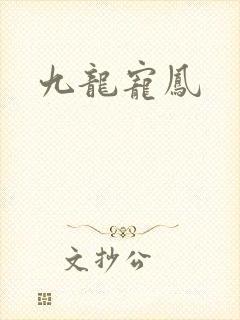 九龙宠凤