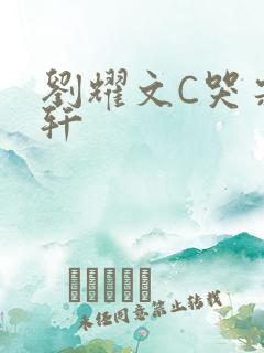 刘耀文C哭宋亚轩