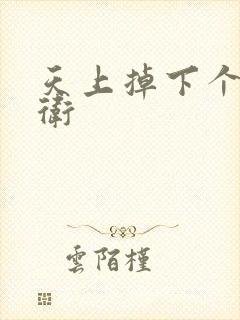 天上掉下个影卫卫