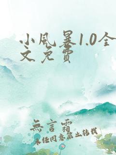 小风暴1.0全文免费