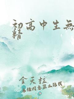 初高中生无套内精