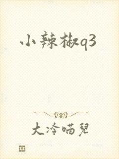 小辣椒q3