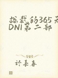 总裁的365天DNI第二部