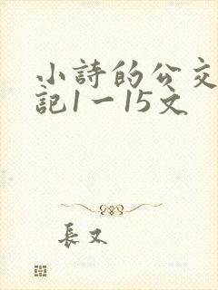 小诗的公交车日记1一15文