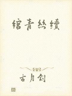 绾青丝续