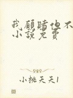 我愿赌但不服输小说免费