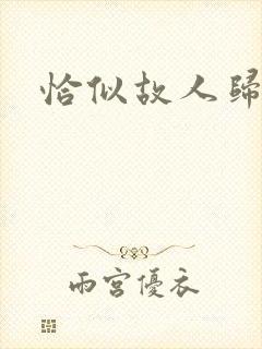 恰似故人归小说