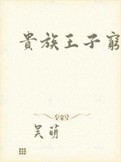 贵族王子穷公主