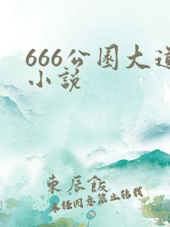 666公园大道小说