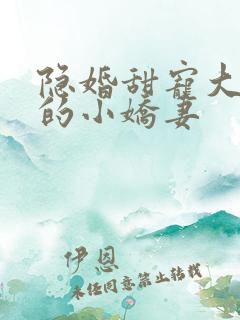 隐婚甜宠大财阀的小娇妻