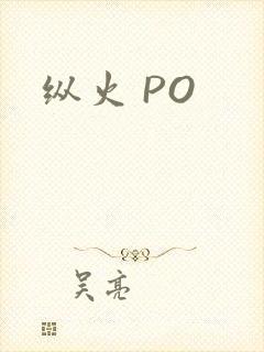 纵火 PO