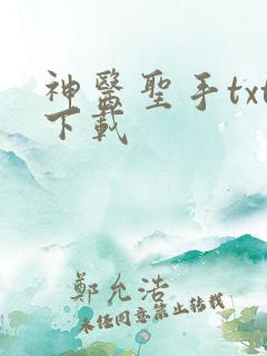 神医圣手txt下载
