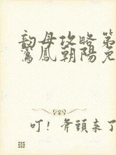 韵母攻略第二部鸾凤朝阳免费阅读