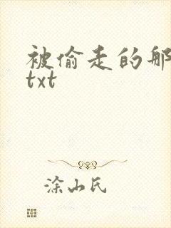 被偷走的那五年txt