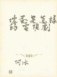 坏蛋是怎样炼成的 电视剧