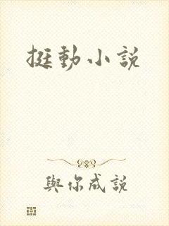 挺动小说