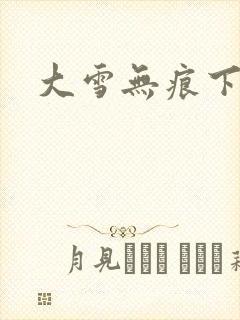 大雪无痕下载
