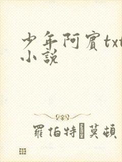少年阿宾txt小说